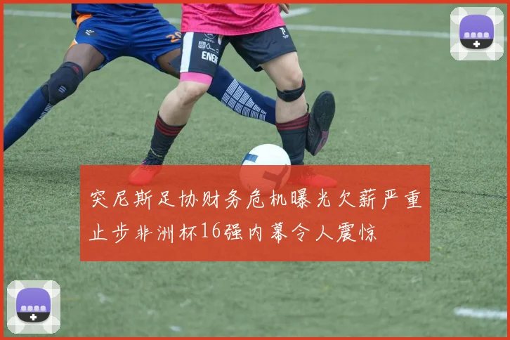 突尼斯足协财务危机曝光欠薪严重止步非洲杯16强内幕令人震惊