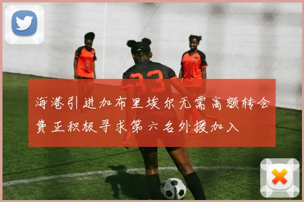 海港引进加布里埃尔无需高额转会费正积极寻求第六名外援加入