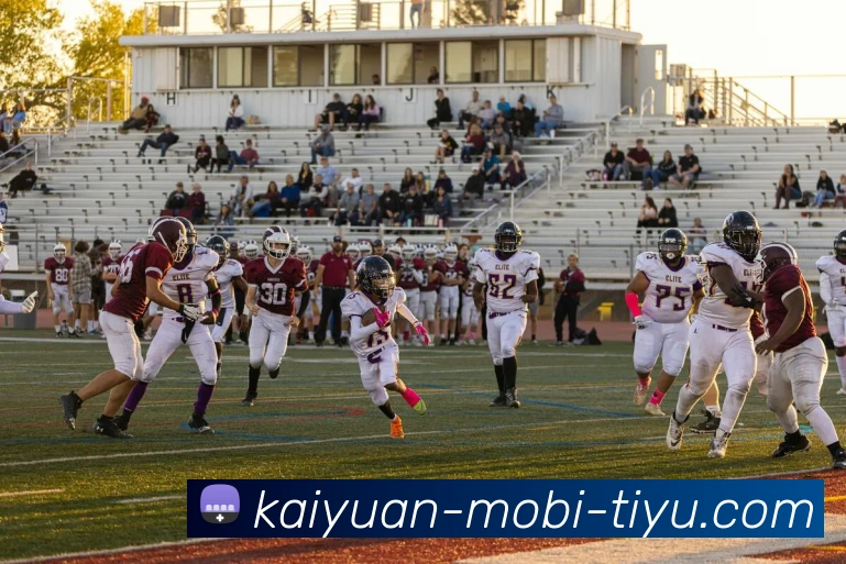 开元体育平台生态图